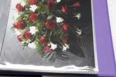 IMG-20201118-WA0011