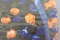 IMG-20201118-WA0015