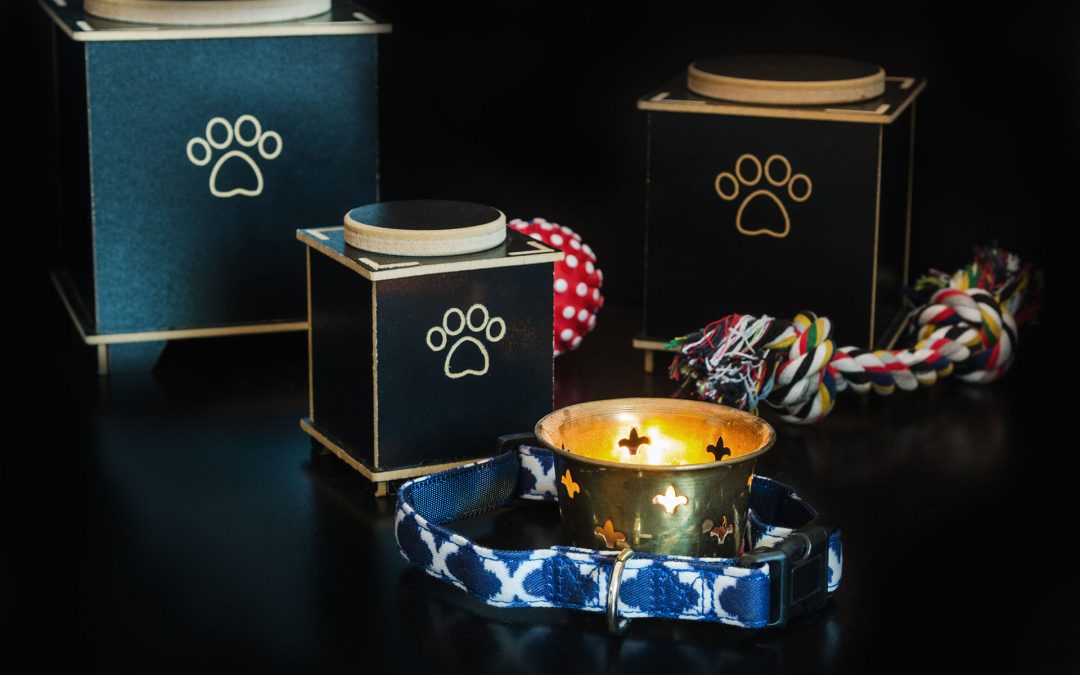 Animali domestici